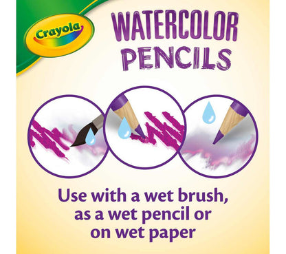 Watercolor Pencils Classpack, 240 Count, 12 Colors - US 4155